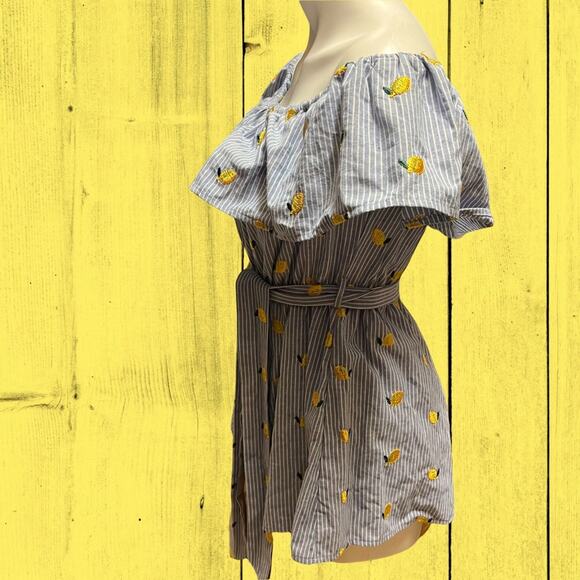 Trac Lemon Pinstripe Romper Large Summer Flare Embroidered Shorts Mini Ruffles - Picture 2 of 4